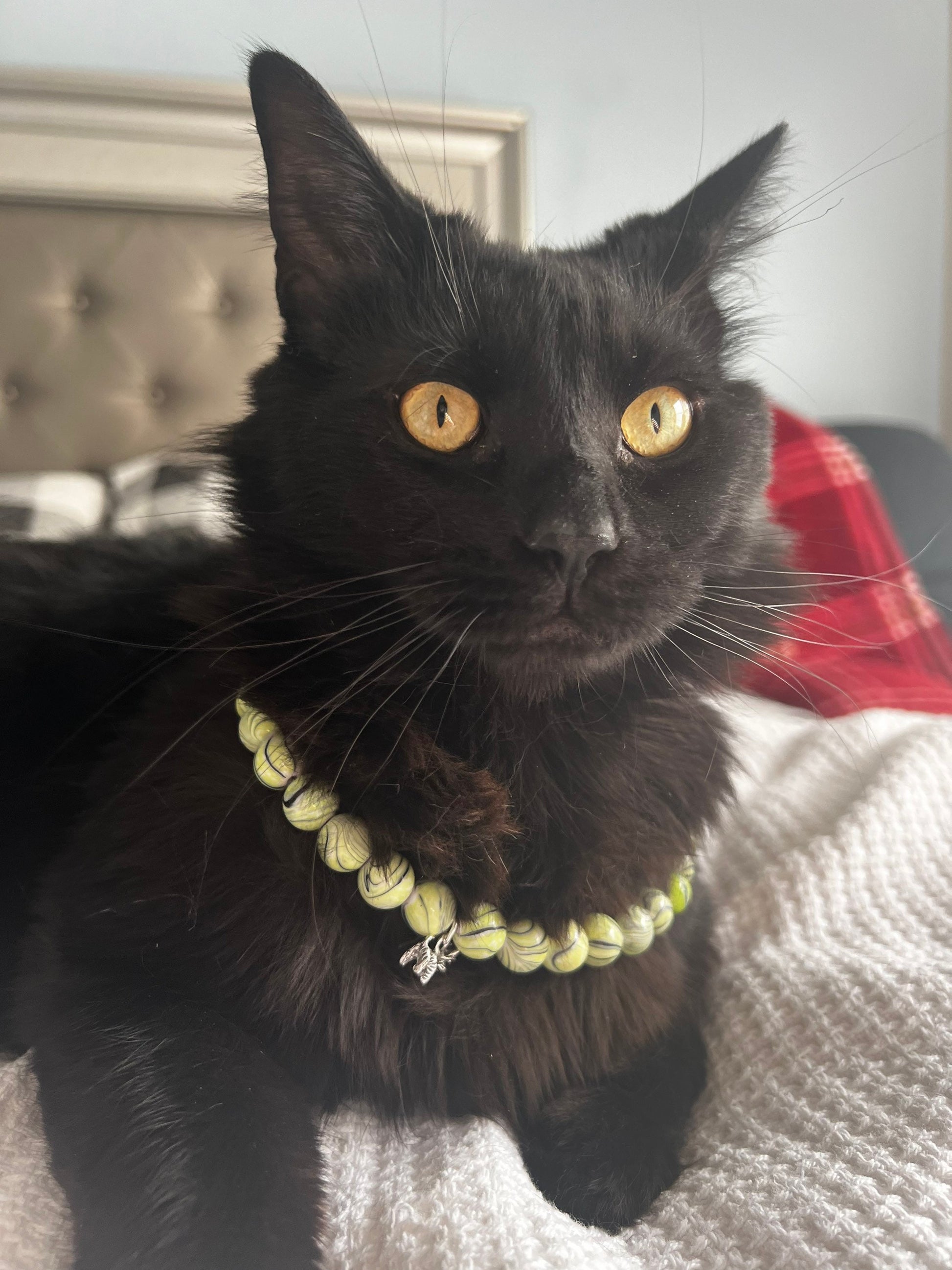 Green Marble Pet Necklace w/ Toggle Clasp | Jewelry for Dogs | Jewelry for Cats| Durable Pet Necklace