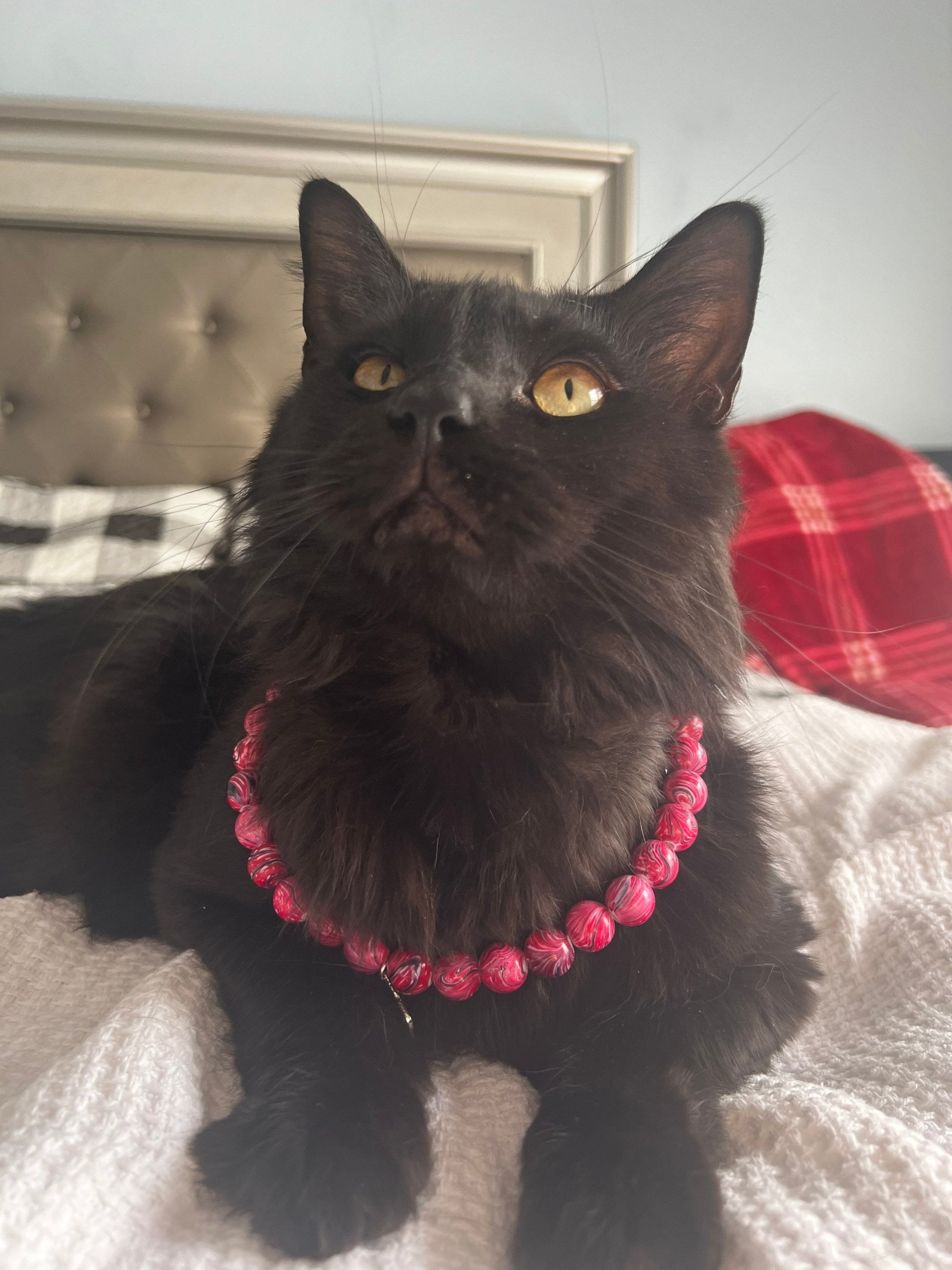 Dark Pink Marble Pet Necklace w/ Toggle Clasp | Jewelry for Dogs | Jewelry for Cats| Durable Pet Necklace