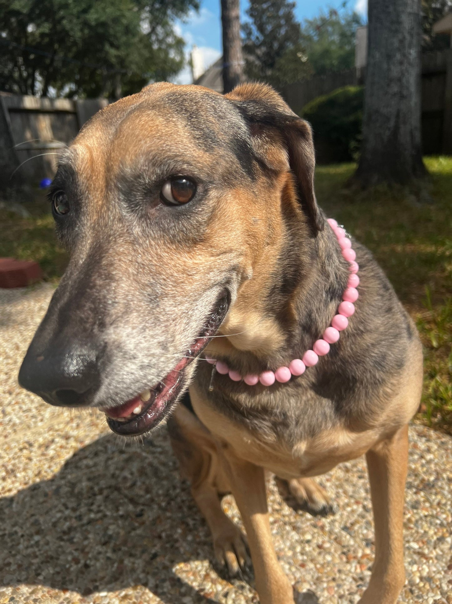 Light Pink Pet Necklace with Toggle Clasp, Jewelry for Dogs, Jewelry for Cats, Durable Pet Necklace, Pet Accessories, Pet Gifts