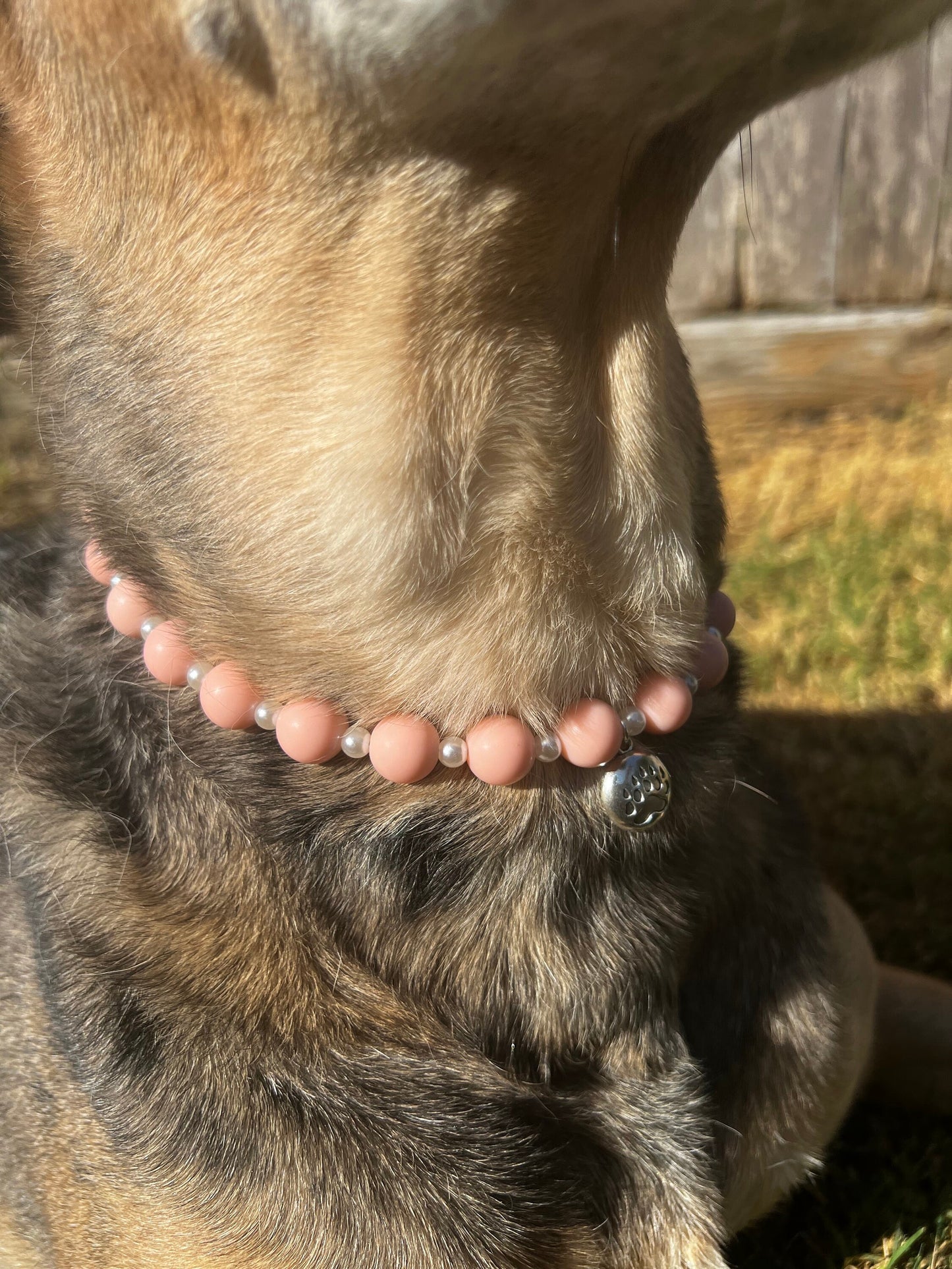 Peach and Pearl Pet Necklace with Toggle Clasp, Jewelry for Dogs, Jewelry for Cats, Durable Pet Necklace, Pet Accessories, Pet Gifts