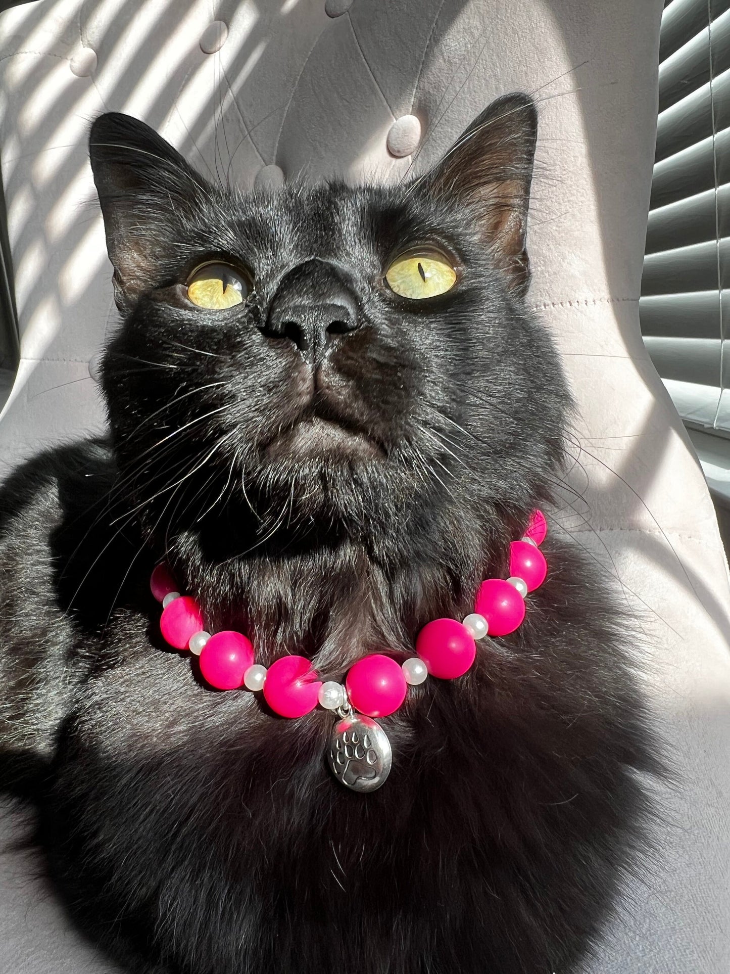 Dark Pink and Pearl Pet Necklace with Toggle Clasp, Jewelry for Dogs, Jewelry for Cats, Durable Pet Necklace, Pet Accessories, Pet Gifts