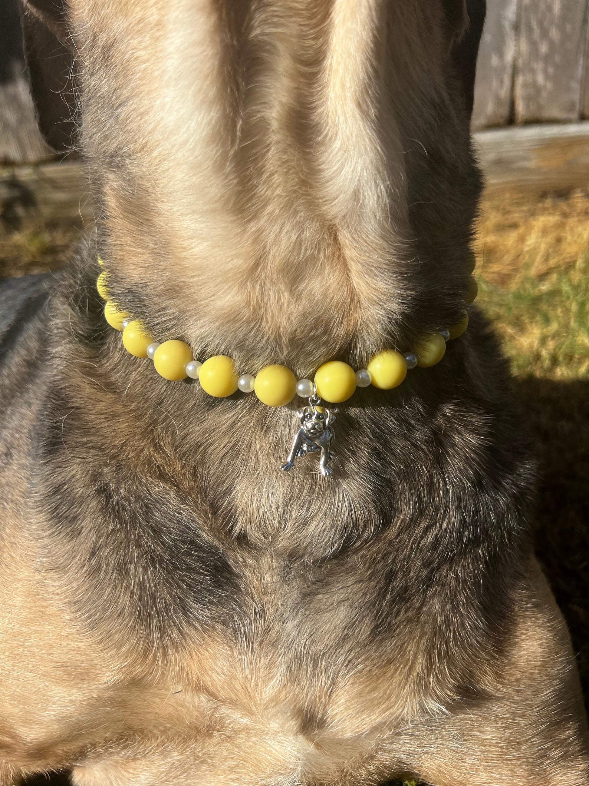 Yellow and Pearl Pet Necklace with Toggle Clasp, Jewelry for Dogs, Jewelry for Cats, Durable Pet Necklace, Pet Accessories, Pet Gifts