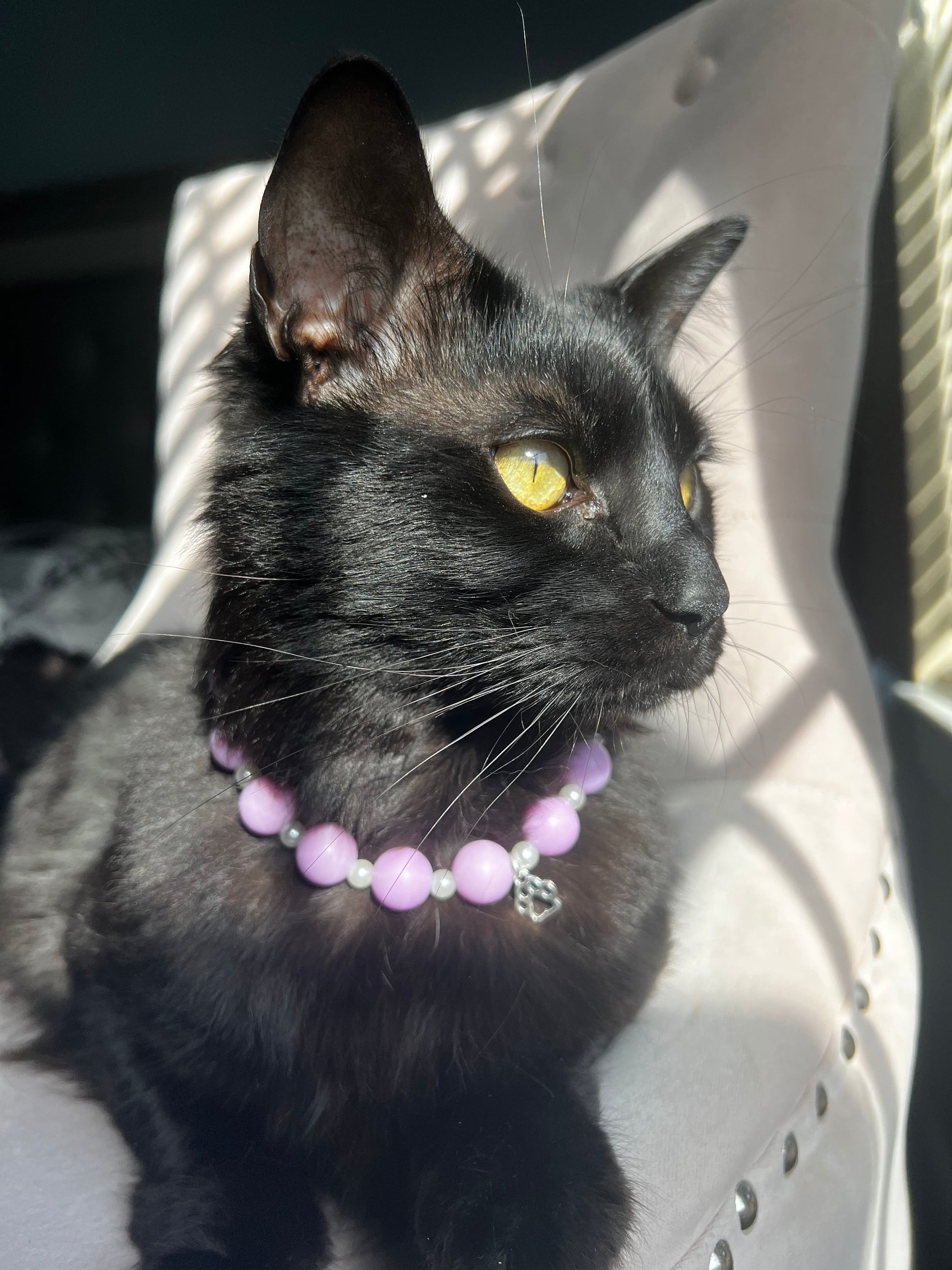 Purple and Pearl Pet Necklace with Toggle Clasp, Jewelry for Dogs, Jewelry for Cats, Durable Pet Necklace, Pet Accessories, Pet Gifts