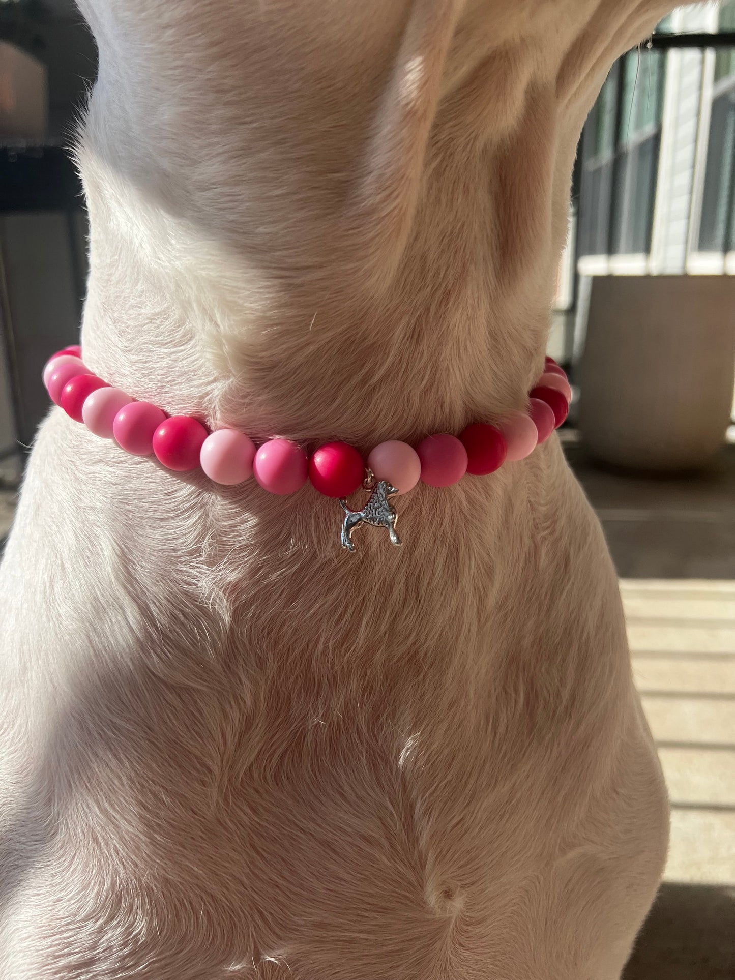 Pink Pet Necklace with Toggle Clasp, Jewelry for Dogs, Jewelry for Cats, Durable Pet Necklace, Pet Accessories, Pet Gifts