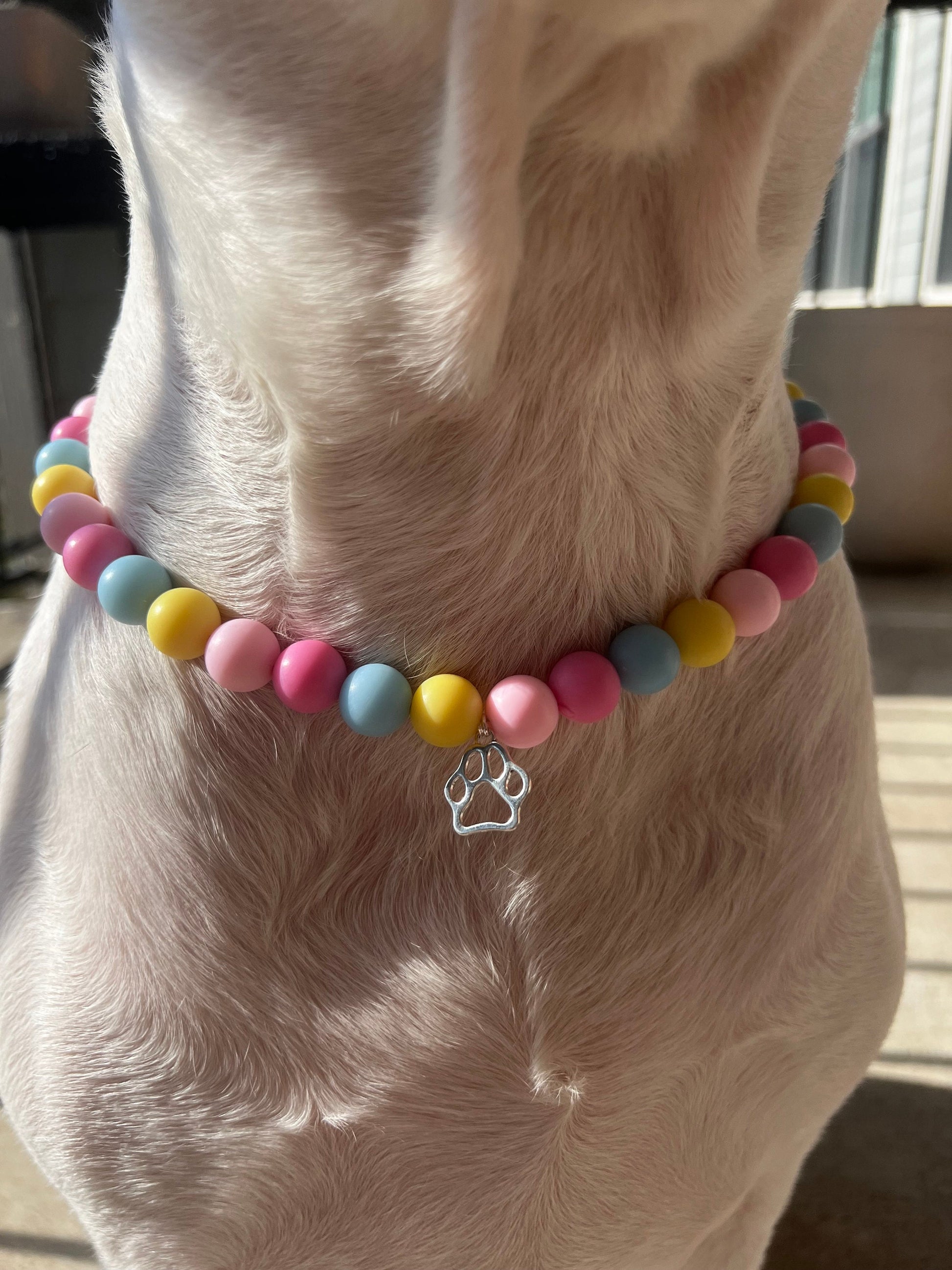 Pink Blue and Yellow Pet Necklace with Toggle Clasp, Jewelry for Dogs, Jewelry for Cats, Durable Pet Necklace, Pet Accessories, Pet Gifts